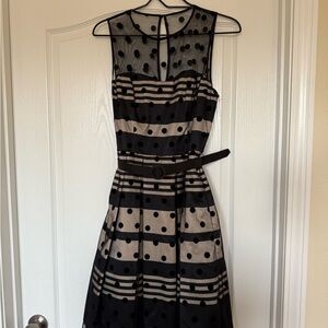 Eliza J Black and Tan Fit and Flare Midi Dress